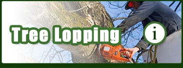 Tree-Looping